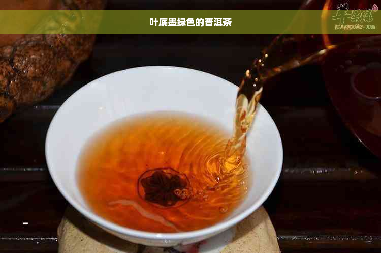 叶底墨绿色的普洱茶