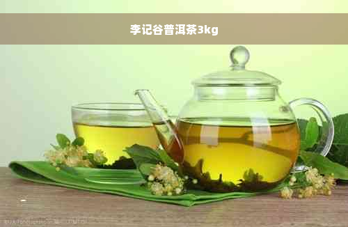 李记谷普洱茶3kg