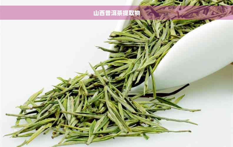 山西普洱茶提取物