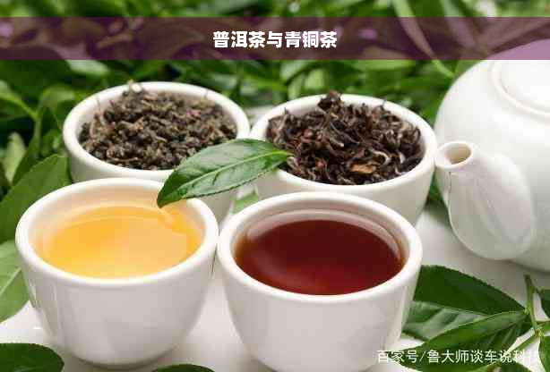 普洱茶与青铜茶