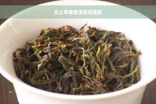 云上早春普洱茶凤凰醇