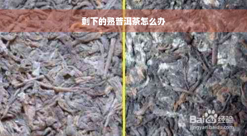 剩下的熟普洱茶怎么办