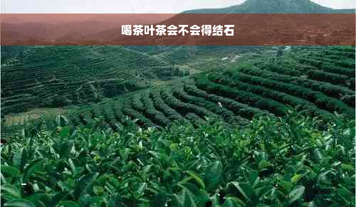 喝茶叶茶会不会得结石