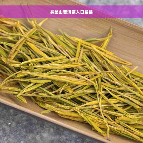 易武山普洱茶入口柔绵