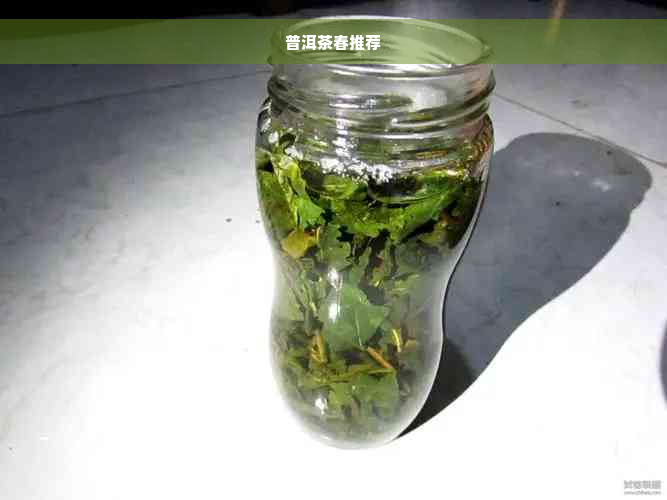 普洱茶春推荐