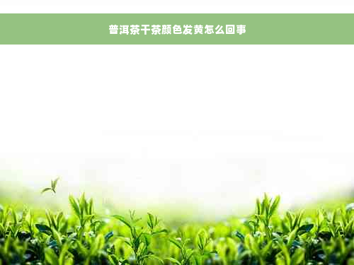 普洱茶干茶颜色发黄怎么回事