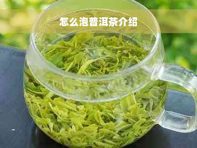 怎么泡普洱茶介绍