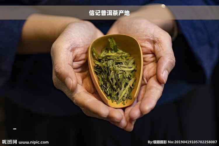 信记普洱茶产地