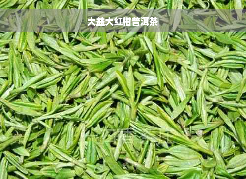 大益大红柑普洱茶