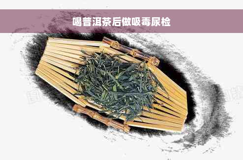 喝普洱茶后做吸毒尿检