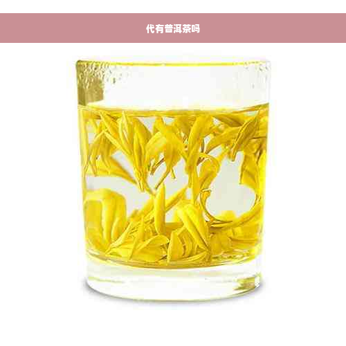 代有普洱茶吗