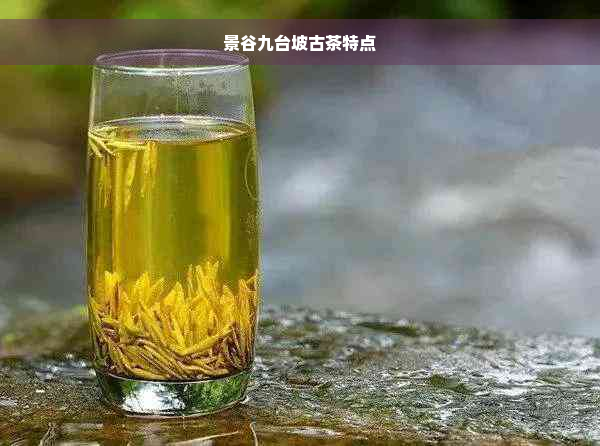 景谷九台坡古茶特点