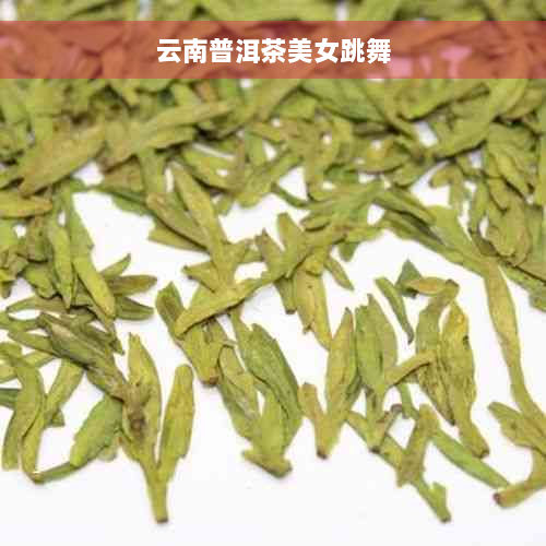 云南普洱茶美女跳舞