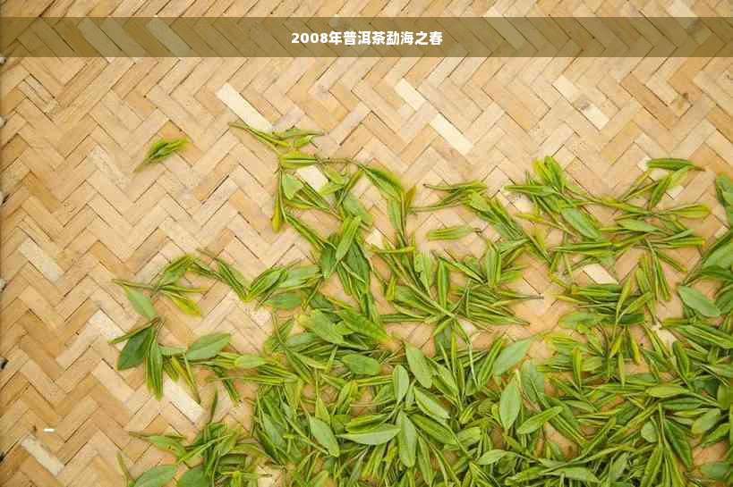 2008年普洱茶勐海之春