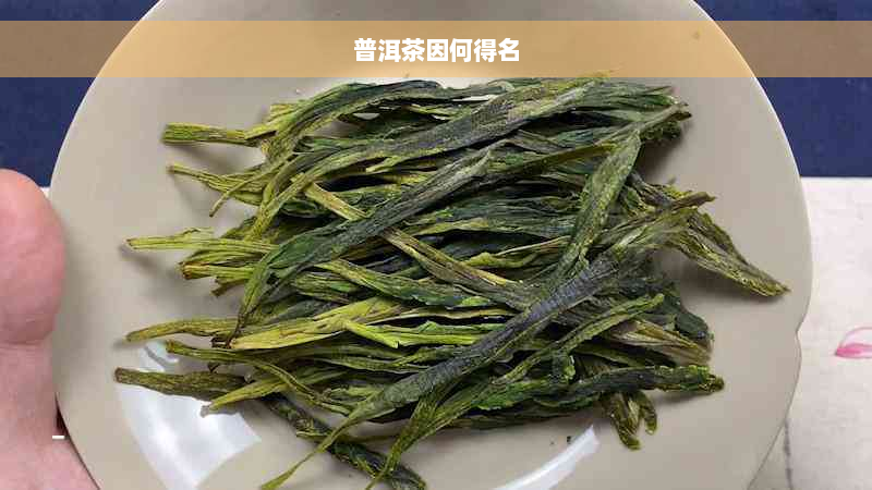 普洱茶因何得名