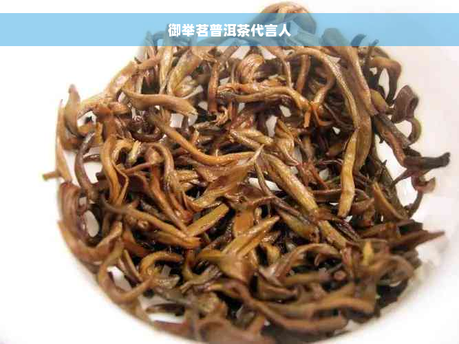 御举茗普洱茶代言人