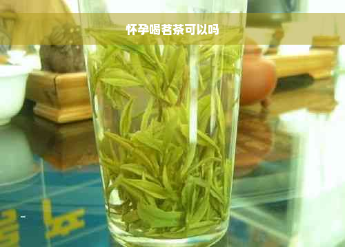 怀孕喝茗茶可以吗