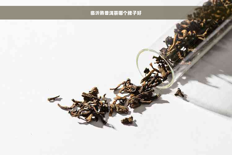 临沂熟普洱茶哪个牌子好