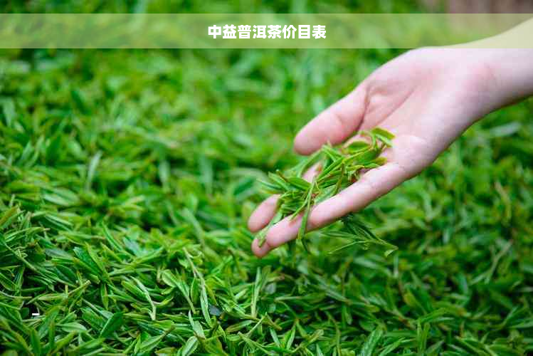 中益普洱茶价目表