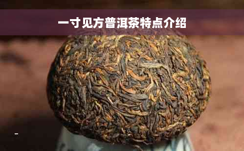 一寸见方普洱茶特点介绍