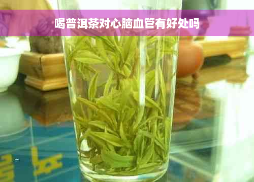 喝普洱茶对心脑血管有好处吗