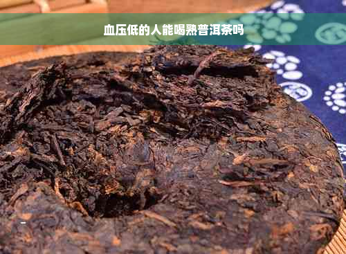 血压低的人能喝熟普洱茶吗