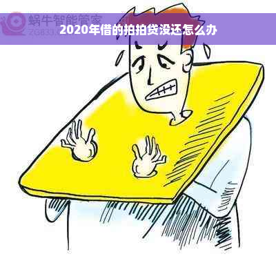 2020年借的拍拍贷没还怎么办