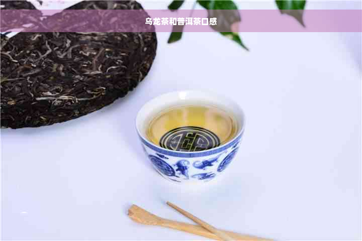 乌龙茶和普洱茶口感