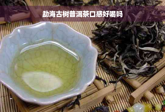 勐海古树普洱茶口感好喝吗