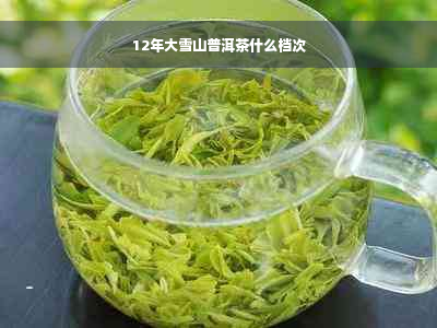 12年大雪山普洱茶什么档次