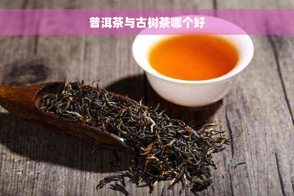 普洱茶与古树茶哪个好