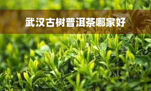 武汉古树普洱茶哪家好