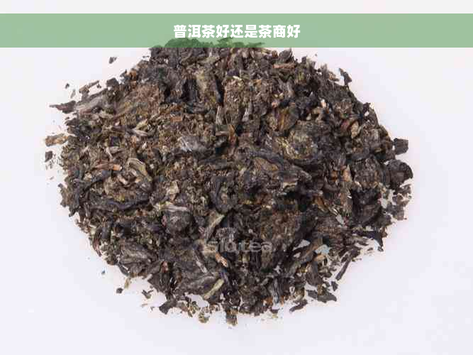 普洱茶好还是茶商好