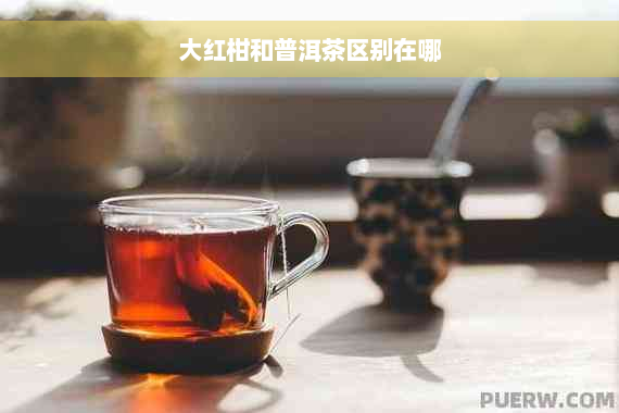 大红柑和普洱茶区别在哪