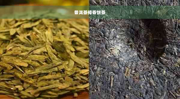 普洱茶樟香饼茶