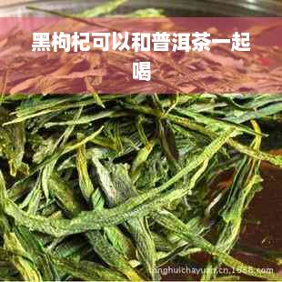 黑枸杞可以和普洱茶一起喝