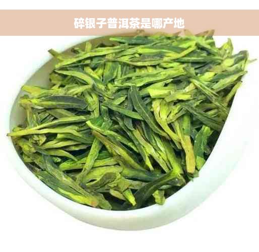 碎银子普洱茶是哪产地