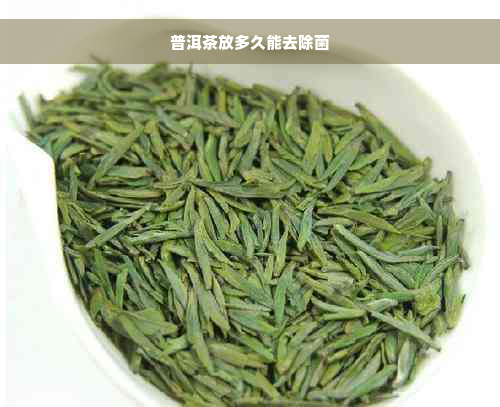 普洱茶放多久能去除菌