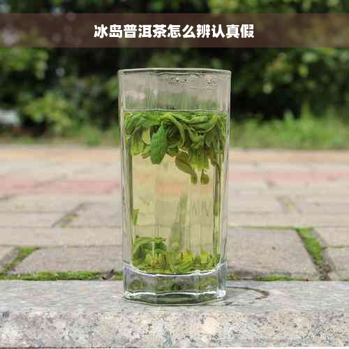 冰岛普洱茶怎么辨认真假