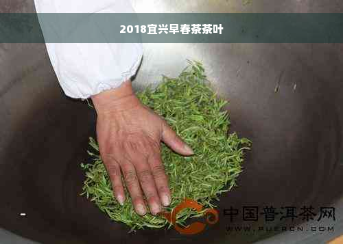 2018宜兴早春茶茶叶