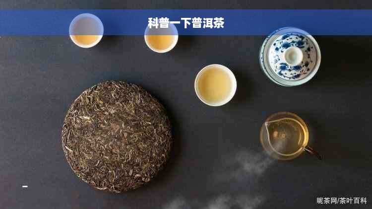 科普一下普洱茶