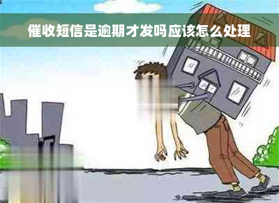 催收短信是逾期才发吗应该怎么处理