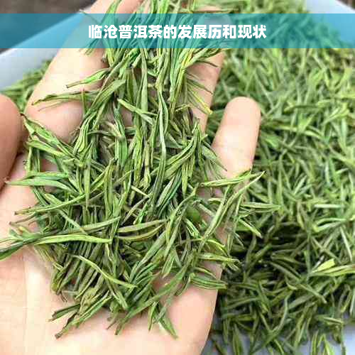 临沧普洱茶的发展历和现状