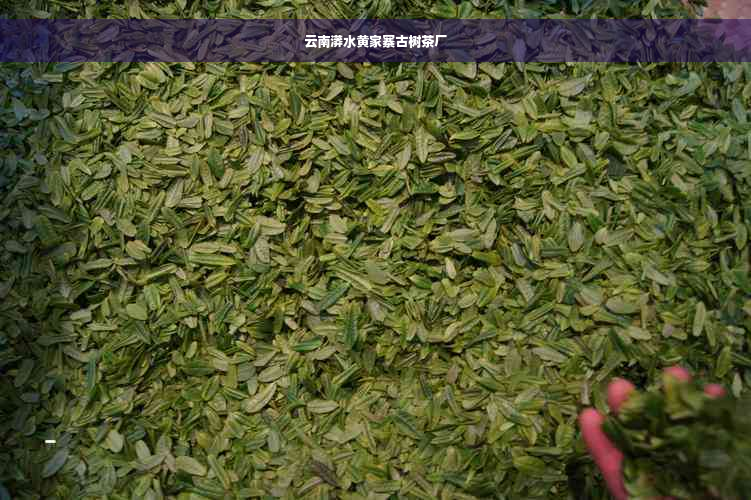 云南漭水黄家寨古树茶厂