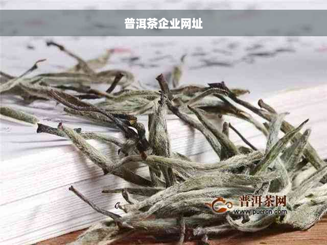 普洱茶企业网址