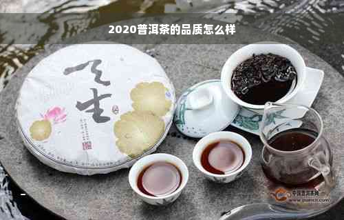 2020普洱茶的品质怎么样