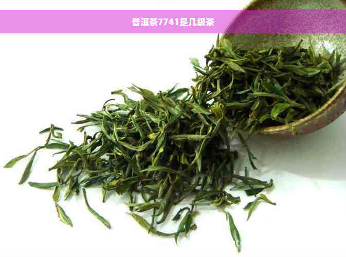 普洱茶7741是几级茶