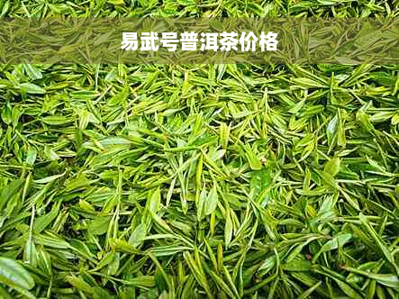 易武号普洱茶价格