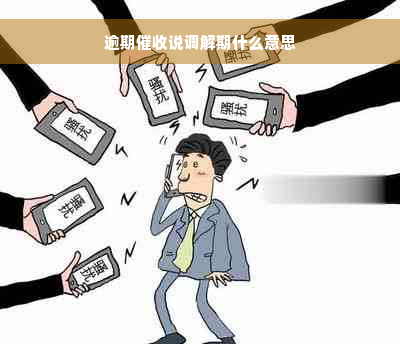 逾期催收说调解期什么意思