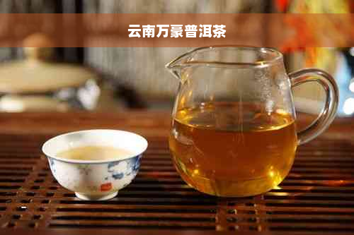 云南万豪普洱茶